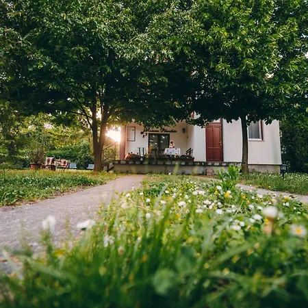 Andante Balatonalmádi