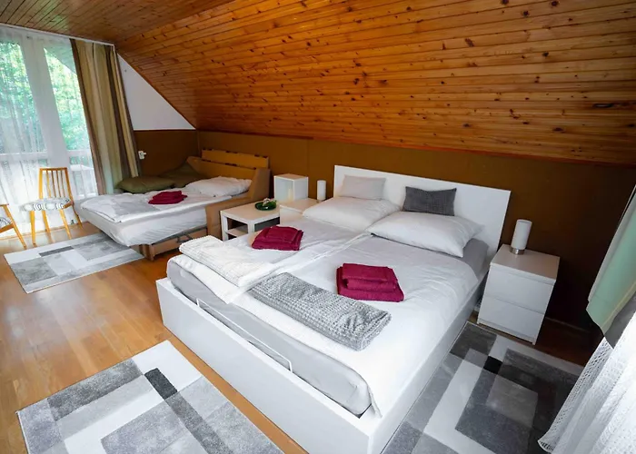 Andante Pihenohaz Case de vacanță